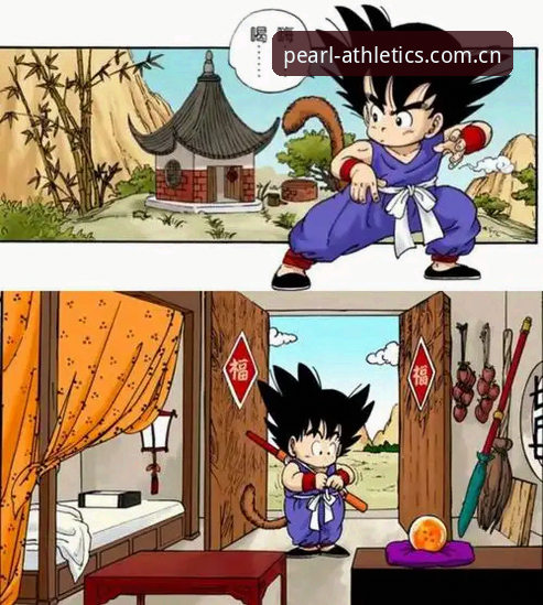 新手必备！龙珠体育平台五大实用功能全解析