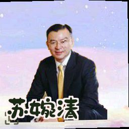 苏婉清